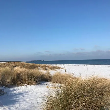 Apartamento Haus Hinter Den Duenen App 6 Eg 1 Prerow